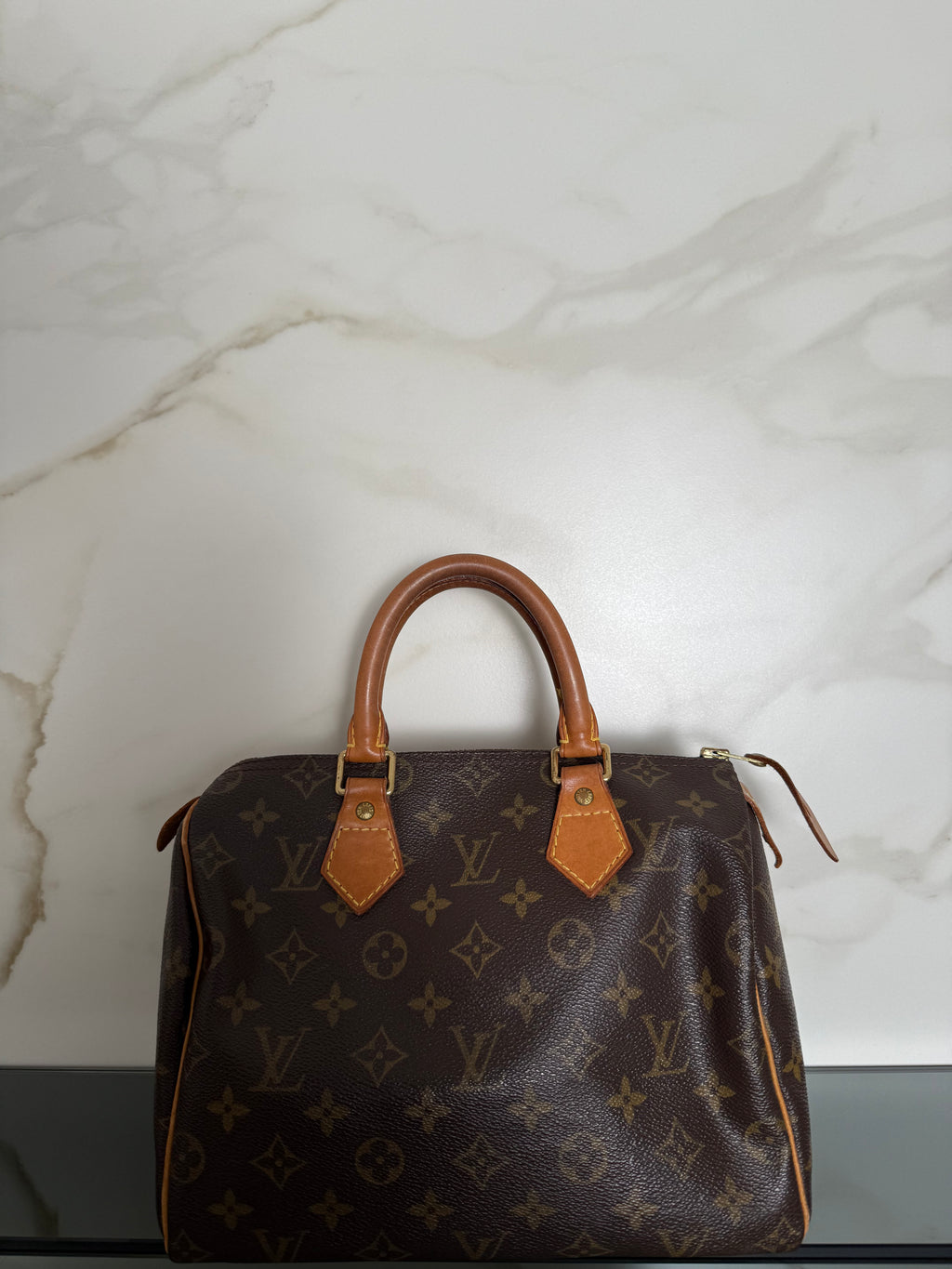 LOUIS VUITTON - Speedy Canvas 25