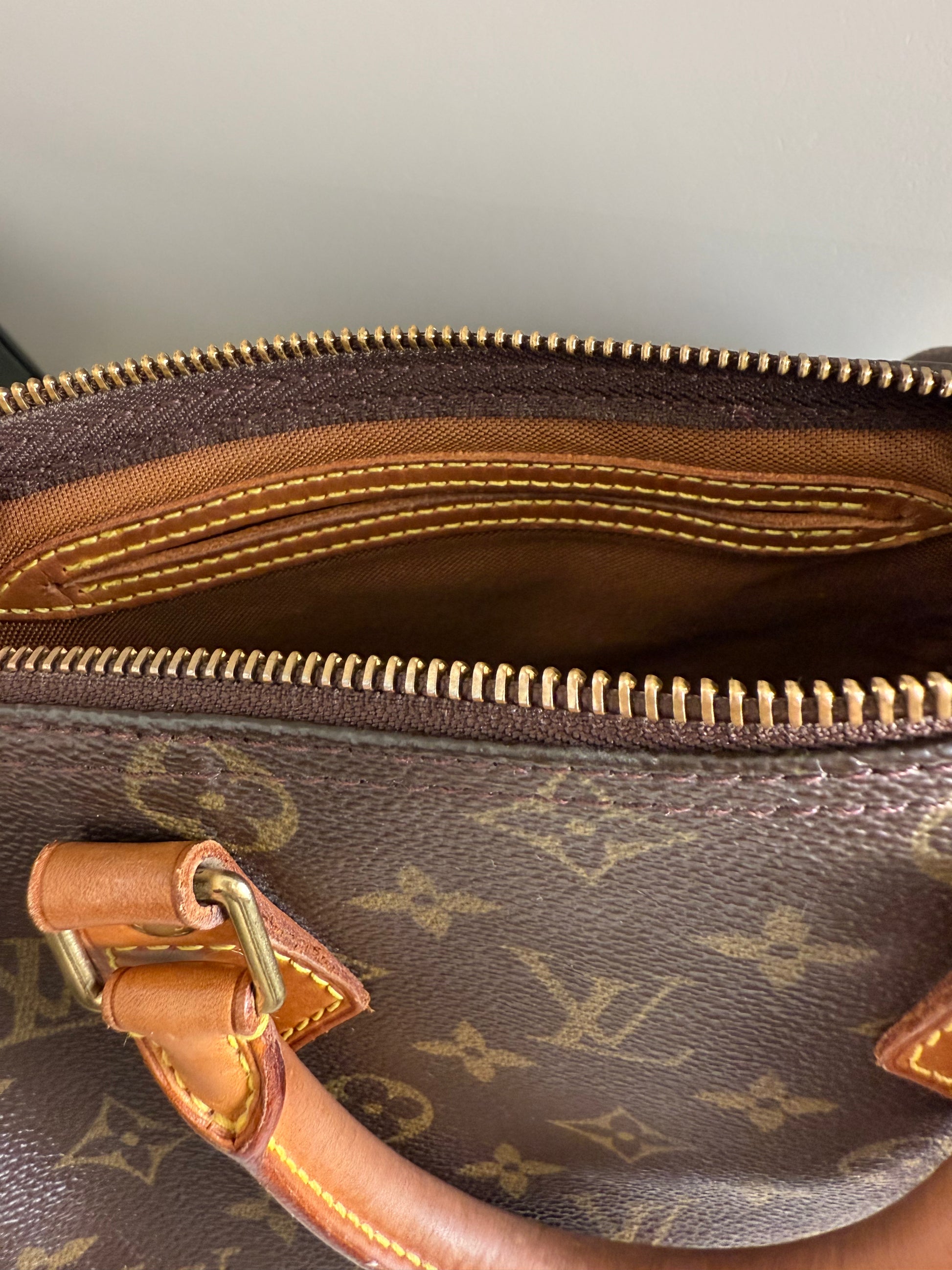 LOUIS VUITTON - Speedy Canvas 25